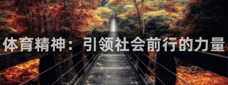 182体育app官方网站