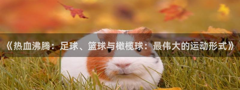 182体育官网能下载吗