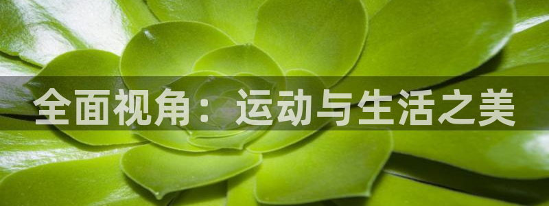182体育怎么样：全面视角：运动与生活之美