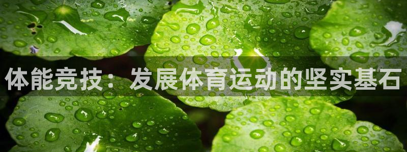 关键词