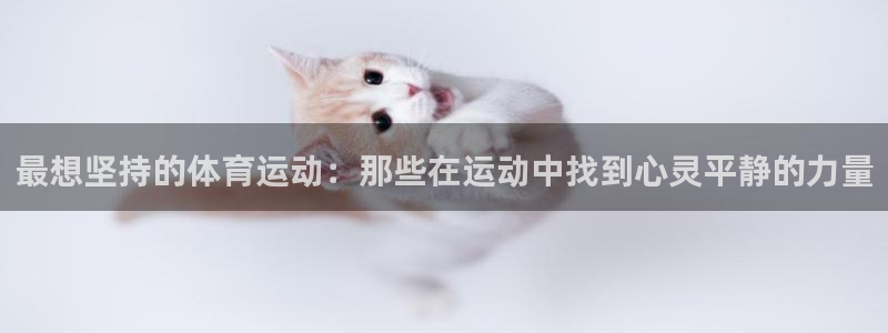182体育什么：最想坚持的体育运动：那些在运动中找到心灵平静的力量