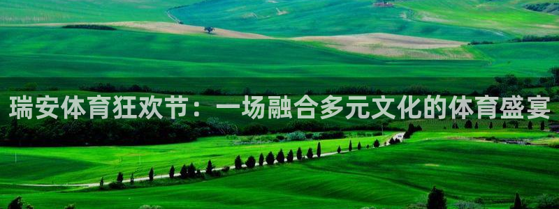182体育app官方网站：瑞安体育狂欢节：一场融合多元文化的体育盛宴